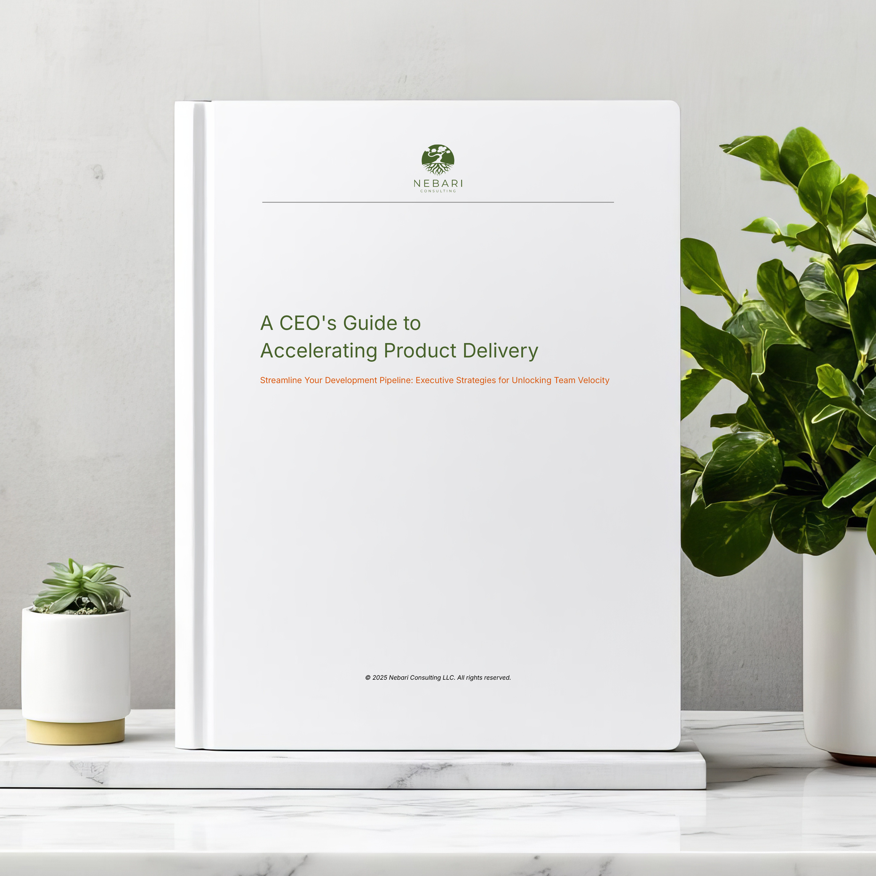 A CEO's Guide to Accelerating Product Delivery